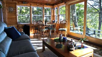 TV, fireplace, video games, DVD player