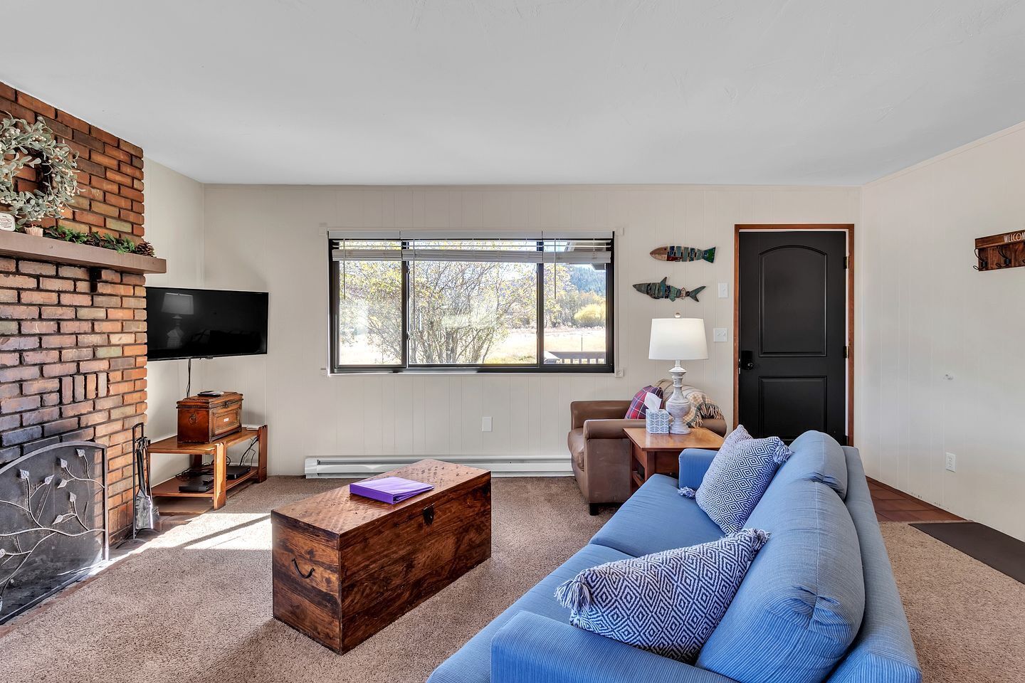 TV, fireplace