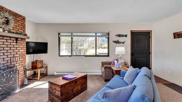 TV, fireplace