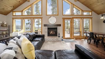 TV, fireplace, video games, DVD player