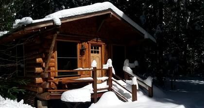Rustic Woodland Log Cabin with Wood-Burning Stove in Nevada City, California