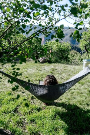 Un hamac dans un espace verdoyant, avec des arbres et des montagnes en arrière-plan.