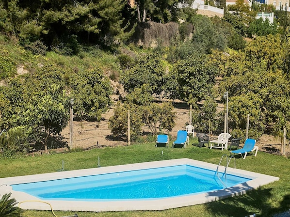 Ein rechteckiger Swimmingpool mit glasklar blauem Wasser, umgeben von einer Rasenfläche mit mehreren blauen Liegestühlen.