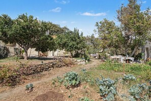 Un espace extérieur rustique avec un sentier de terre, une pile de bois de chauffage et une variété de plantes et d’arbres.