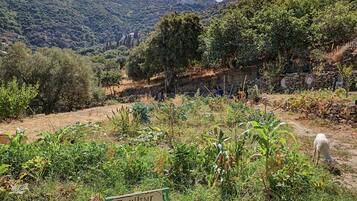 Paisaje rural con un cartel que indica un huerto de calabacines.