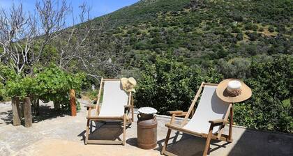 Oak Farm Guesthouse Junior