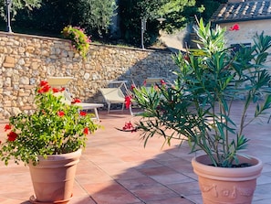 Eine Terrasse mit Steinmauern, Topfpflanzen und Gartenmöbeln.