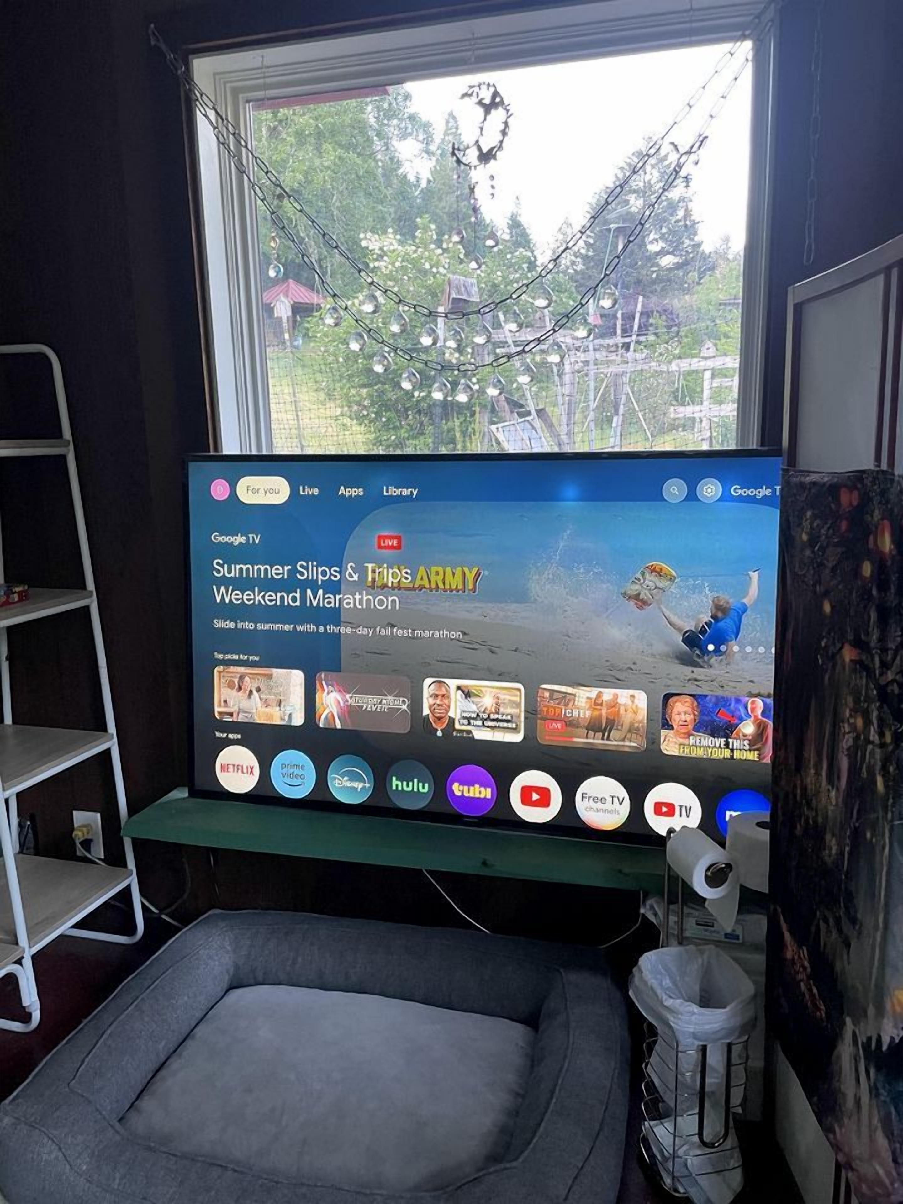 A television displaying a marathon event, a window with a view of trees, and a gray pet bed.