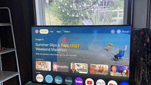 A television displaying a marathon event, a window with a view of trees, and a gray pet bed.