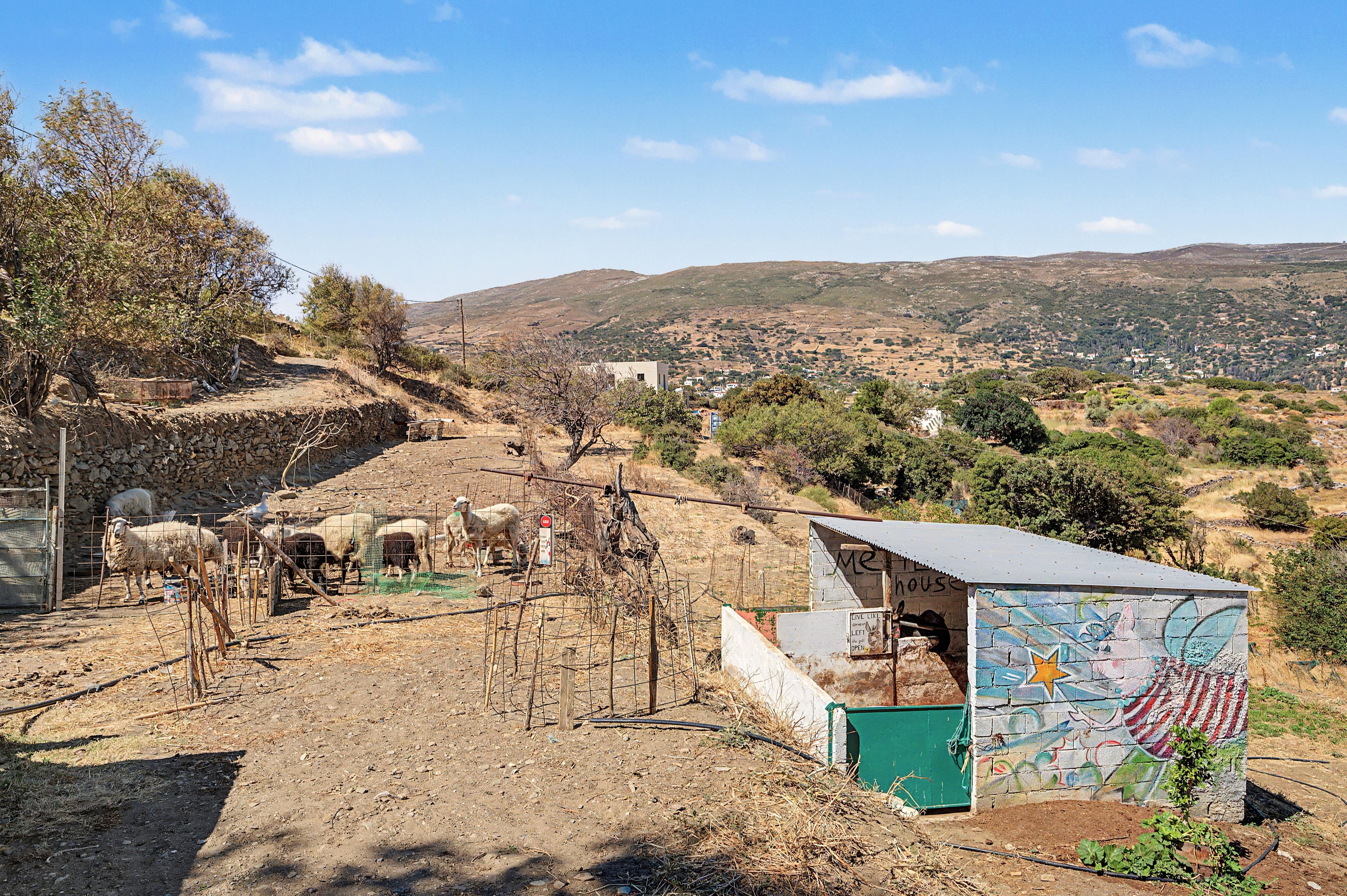 A rural landscape with a fenced area containing sheep, a small structure with graffiti, and a hilly backdrop.