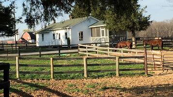 A stable with horses, a white house, and a barn in the background.