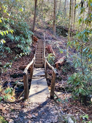 Eine Holzbrücke in einem bewaldeten Gebiet.