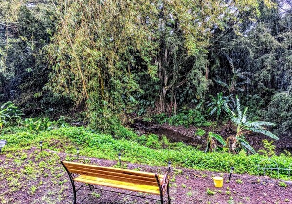 A bench in a garden with dense foliage and a small water feature.