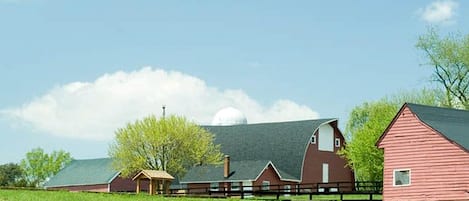 Paisaje rural con graneros y un campo verde.