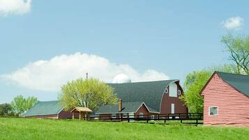 A rural landscape with barns and a green field.