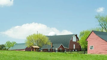 Ländliche Landschaft mit Scheunen und einem grünen Feld.