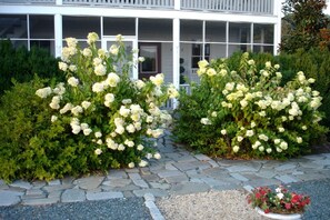 Un edificio con entrada adoquinada de piedra, rodeado de exuberante vegetación y plantas con flores blancas.