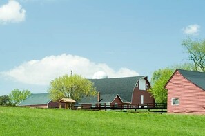Un paisaje rural con un granero, una construcción más pequeña y un edificio grande con forma de cúpula.