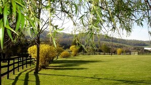 A grassy field with a wooden fence, trees, and a distant hill.