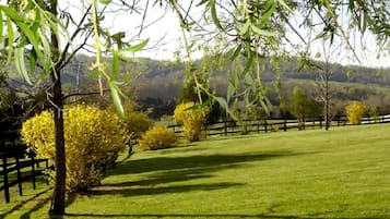 A grassy field with a wooden fence, trees, and a hilly landscape in the background.