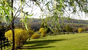 A grassy field with a wooden fence, trees, and a hilly landscape in the background. - Spacious Modular Rental on Huge Horse and Cattle Farm near Charlottesville, Virginia (Gordonsville)