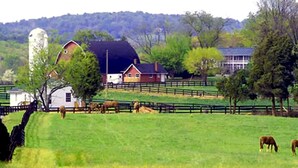 Unclassified image, 4 of 18, button - Spacious Modular Rental on Huge Horse and Cattle Farm near Charlottesville, Virginia (Gordonsville)