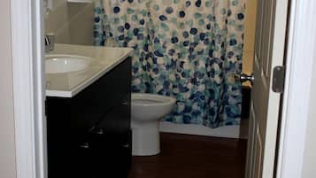 Hair dryer, towels, toilet paper