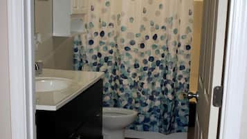 Secadora de cabello, toallas, papel de baño
