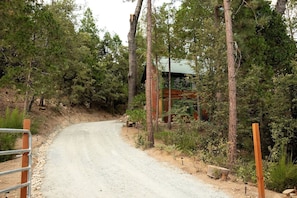 A gravel road leading to a building surrounded by dense forest.