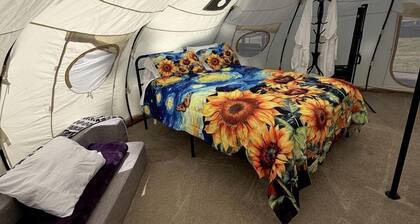 Enchanting Bell Tent with Stargazing and Forest Views Near Wolf Creek, Oregon