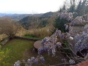 Ein Garten mit einer Steinsitzbank, Blick auf Hügel und einem mit Wisteria bewachsenen Baum.