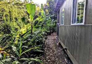 A wooden cabin with a window, surrounded by dense tropical foliage and a leaf-covered path.