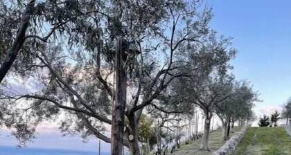 Panoramic Villa Between the Sea and Nature – Relaxation and Privacy in the Hills of Siderno