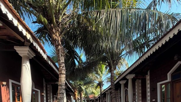 Un pasillo bordeado de palmeras y un sendero de baldosas que conduce a un edificio de estilo arquitectónico tradicional.
