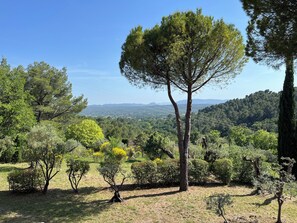 Un paysage caractérisé par un arbre imposant, une zone herbeuse et une vue lointaine sur une ville et des collines.