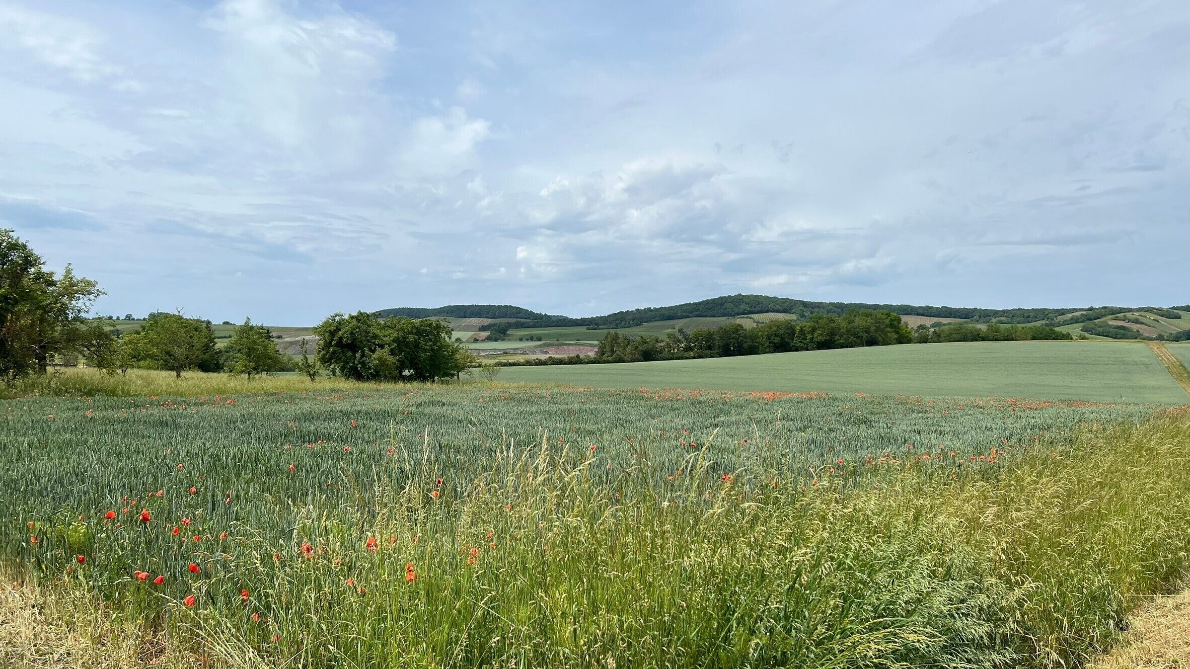 A rural landscape with fields, trees, and rolling hills under a partly cloudy sky.