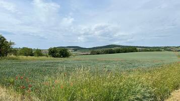 A rural landscape with fields, trees, and rolling hills under a partly cloudy sky.