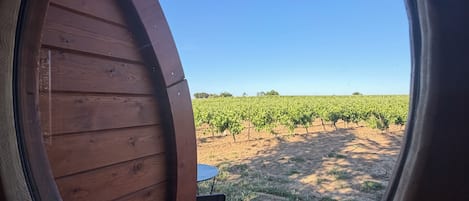 A circular window with a view of a vineyard and a small table with chairs inside.