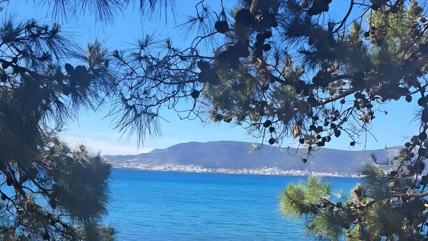 A clear view of a coastal area with trees and a body of water. - Holiday Home 'Domenica Apartment' with Mountain View, Wi-Fi and Air Conditioning (Salamina)