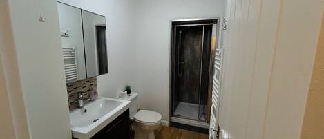 A bathroom with a white sink, toilet, and a glass-enclosed shower.