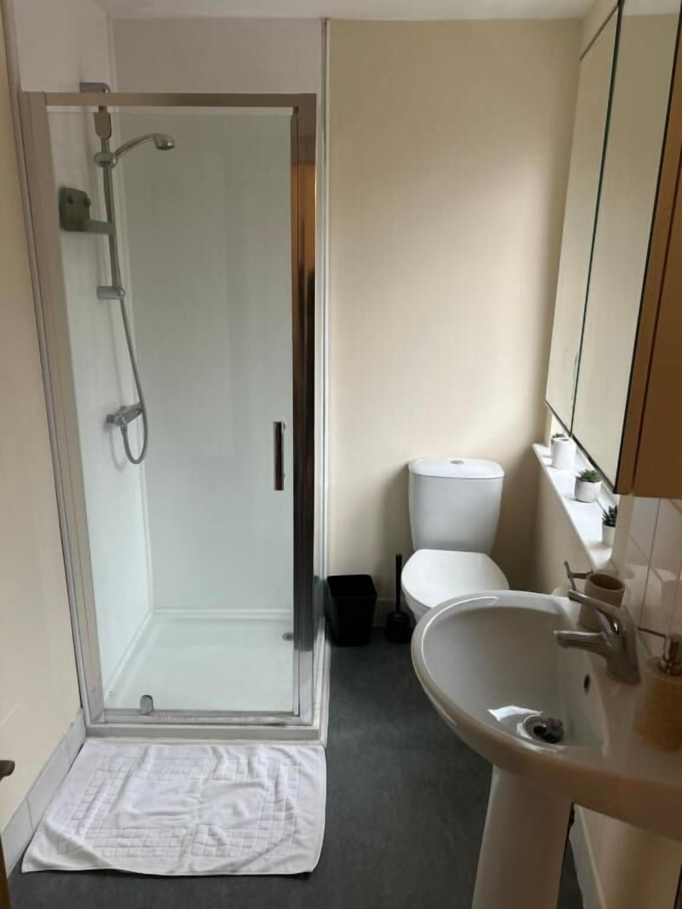 A bathroom with a glass-enclosed shower, a white toilet, and a sink with a mirror.