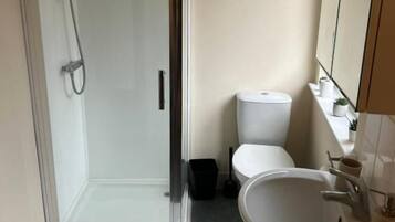 A bathroom with a glass-enclosed shower, a white toilet, and a sink with a mirror.