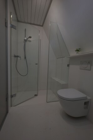 A bathroom with a glass shower enclosure, a toilet, and a small plant on a shelf. - Vacation Home 1 (Kinding - Kratzmühle)