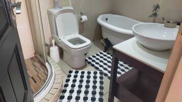 Hair dryer, towels, soap, toilet paper