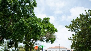 A fenced playground with slides and swings, surrounded by trees and a building in the background. - Luxurious Punta Cana House 3 Bedrooms, Shared Pool, BBQ (Punta Cana)