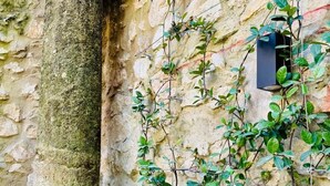 Une colonne de pierre recouverte de mousse, un mur orné de plantes grimpantes et une petite fenêtre.