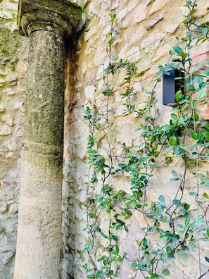 A stone column with moss, a wall with climbing plants, and a small window.