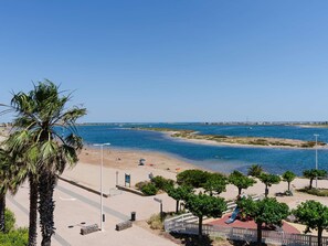 Blick auf einen Strand mit einer Palme, einem Spielplatz und blauem Himmel.