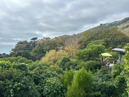 Cosy cabin style bach, immersed in native bush, in beautiful Banks Peninsula