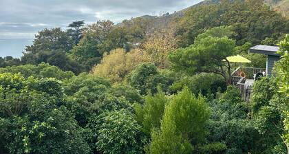 Cosy cabin style bach, immersed in native bush, in beautiful Banks Peninsula